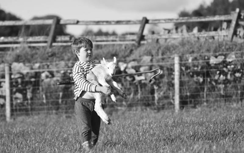 Celebrate Easter with a visit to our working farm in the Scottish Borders
