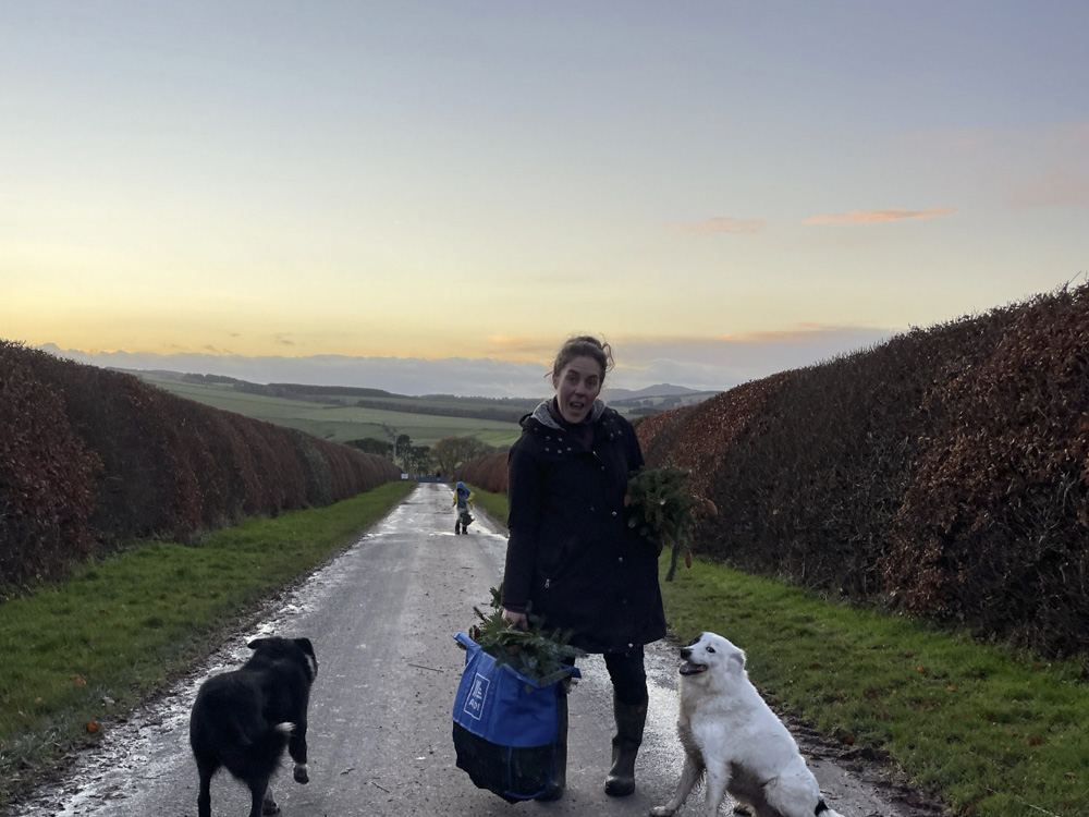 Christmas wreath workshops are back at the farm for 2023