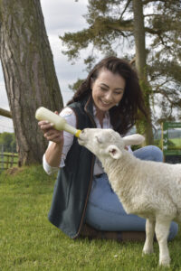 Experience the joy of lamb feeding in April, May and June