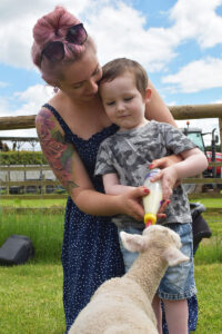 feed the lambs for kids near Edinburgh
