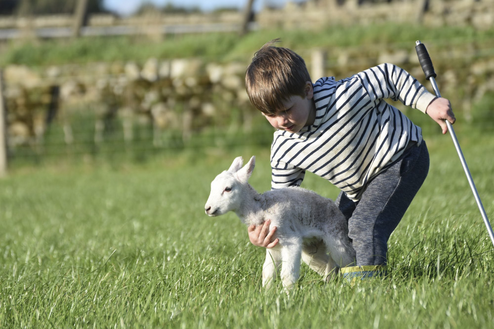 Springtime on the farm