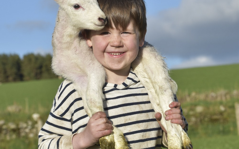 Springtime on the farm
