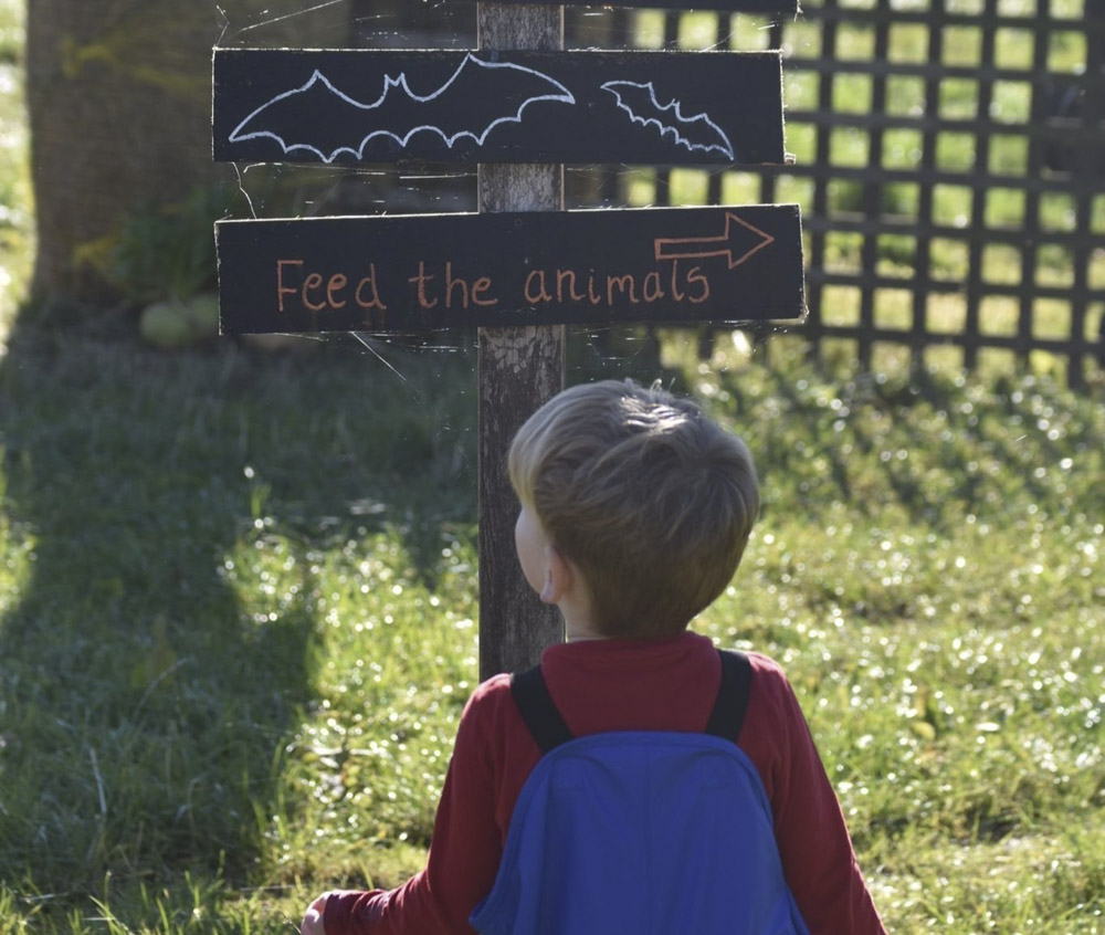 Halloween family day trip from Edinburgh: Jacksons farm in the Scottish Borders