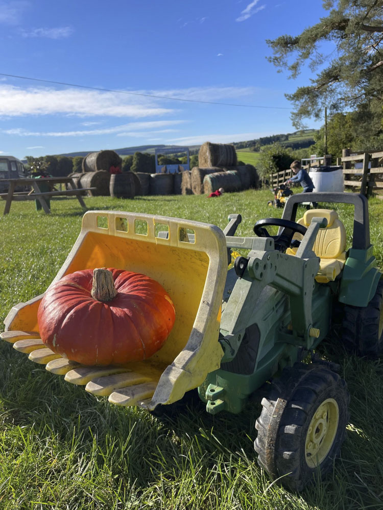 Halloween family day trip from Edinburgh: Jacksons farm in the Scottish Borders