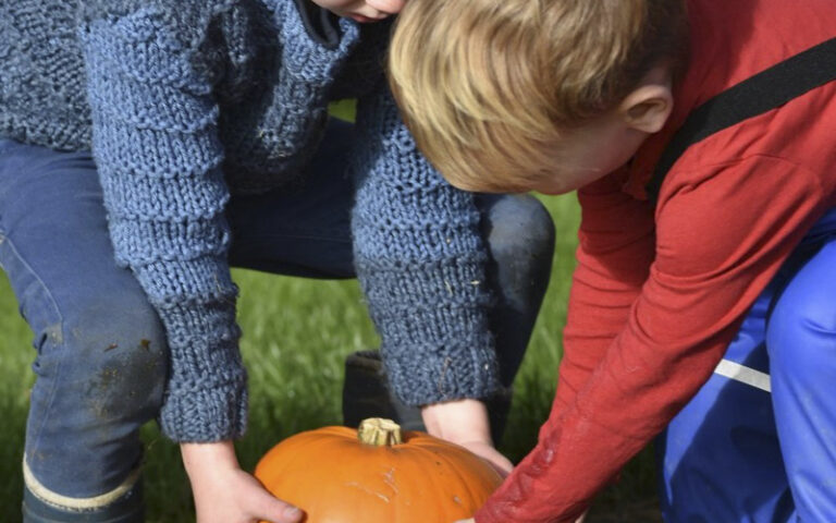 Halloween family day trip from Edinburgh: Jacksons farm in the Scottish Borders