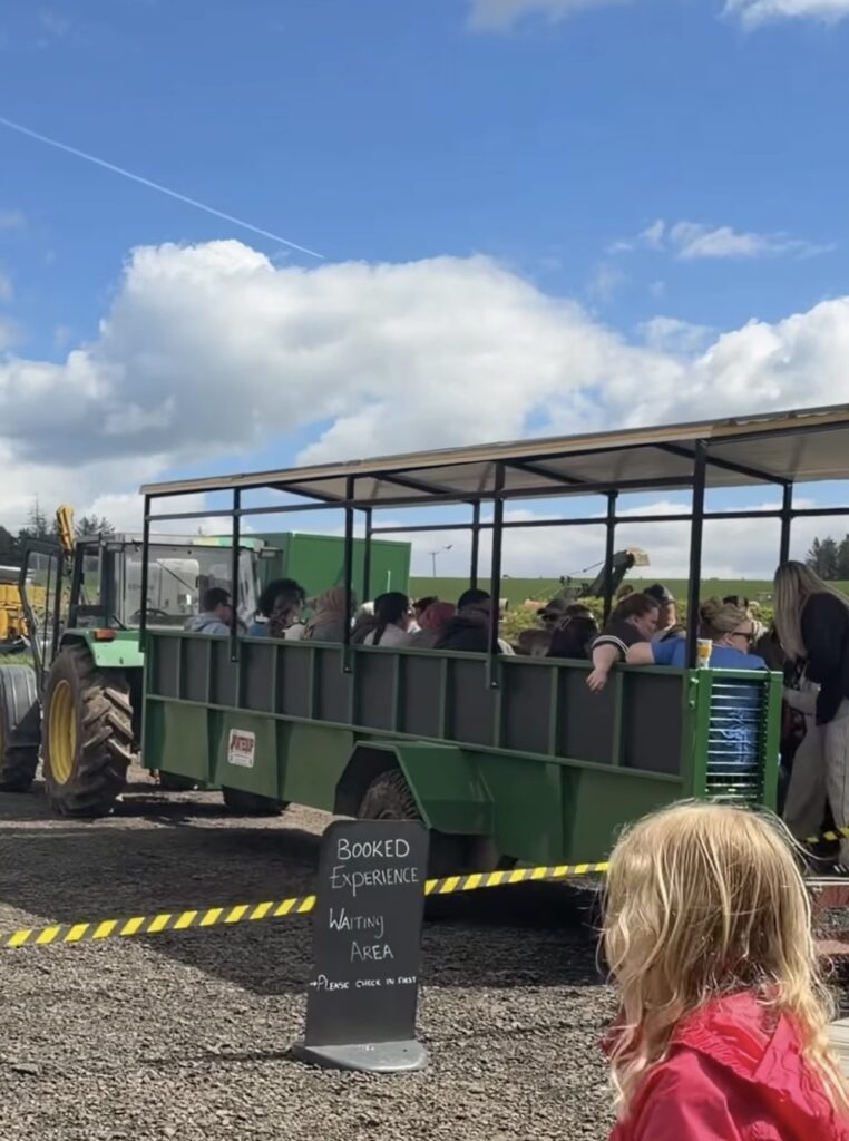 Highland cow experience Scottish Borders trailer ride