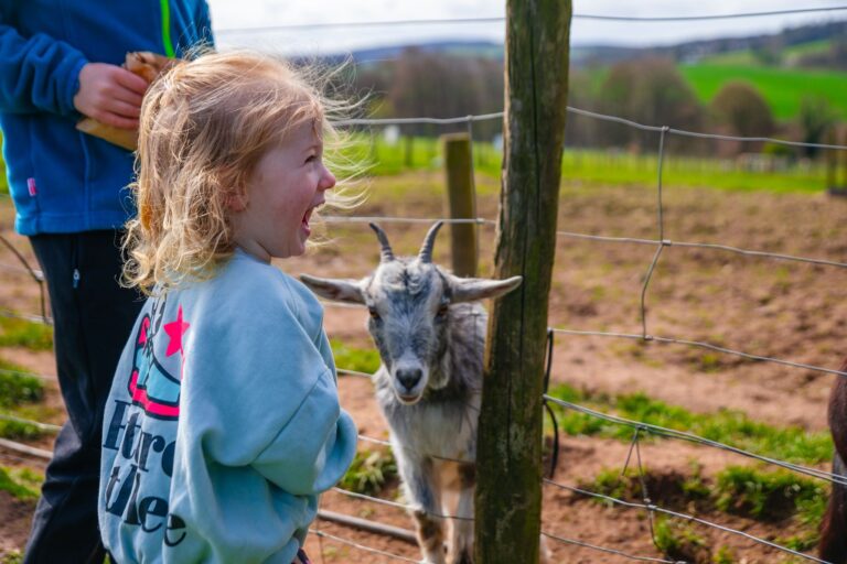 kids feeding animals Scottish Borders farm
