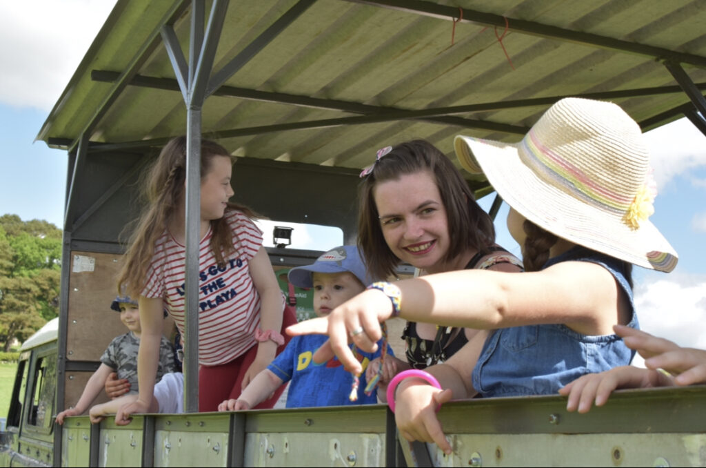 Edinburgh Festival - Highland Cow Experience