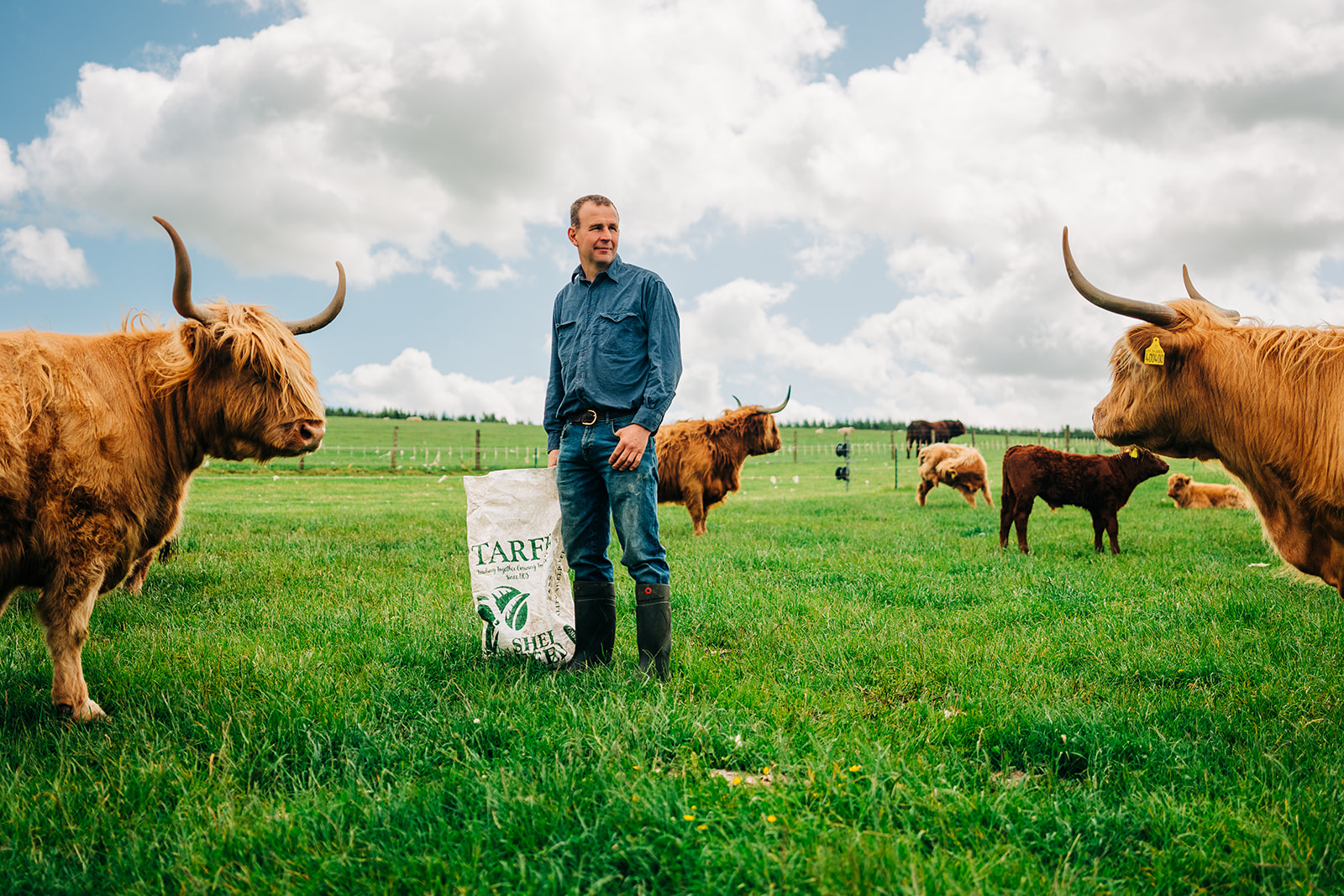 You Don’t Need to Drive to the Highlands to Meet Highland Cows