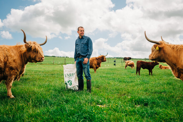 Visit a real working farm in the Scottish Borders