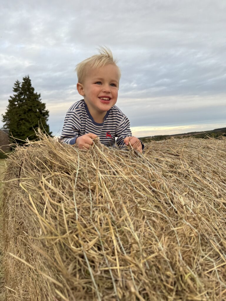 October farm visit at Jacksons at Jedburgh in the Scottish Borders